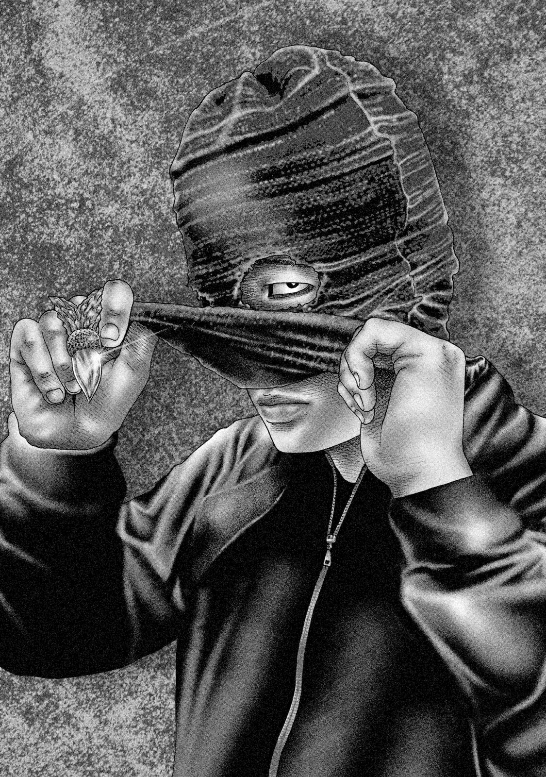 Read The Fable Español Manga Online