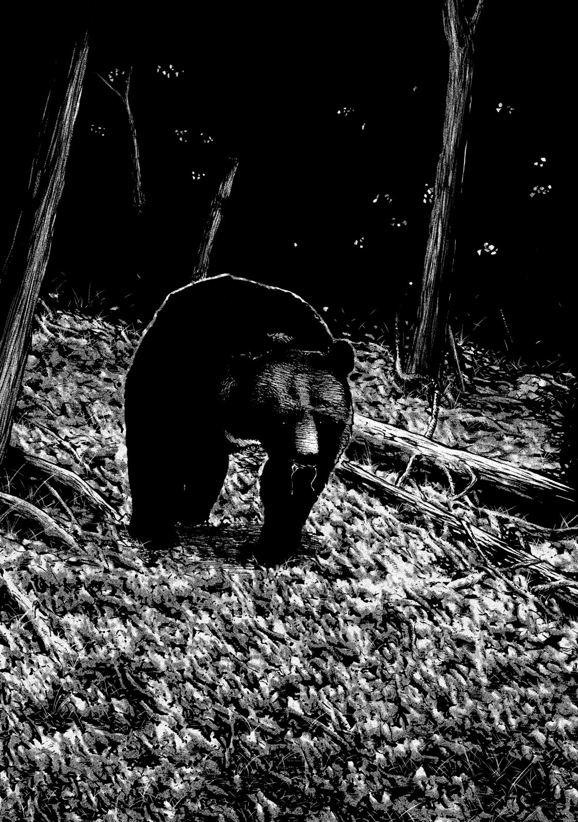 Read The Fable Español Manga Online