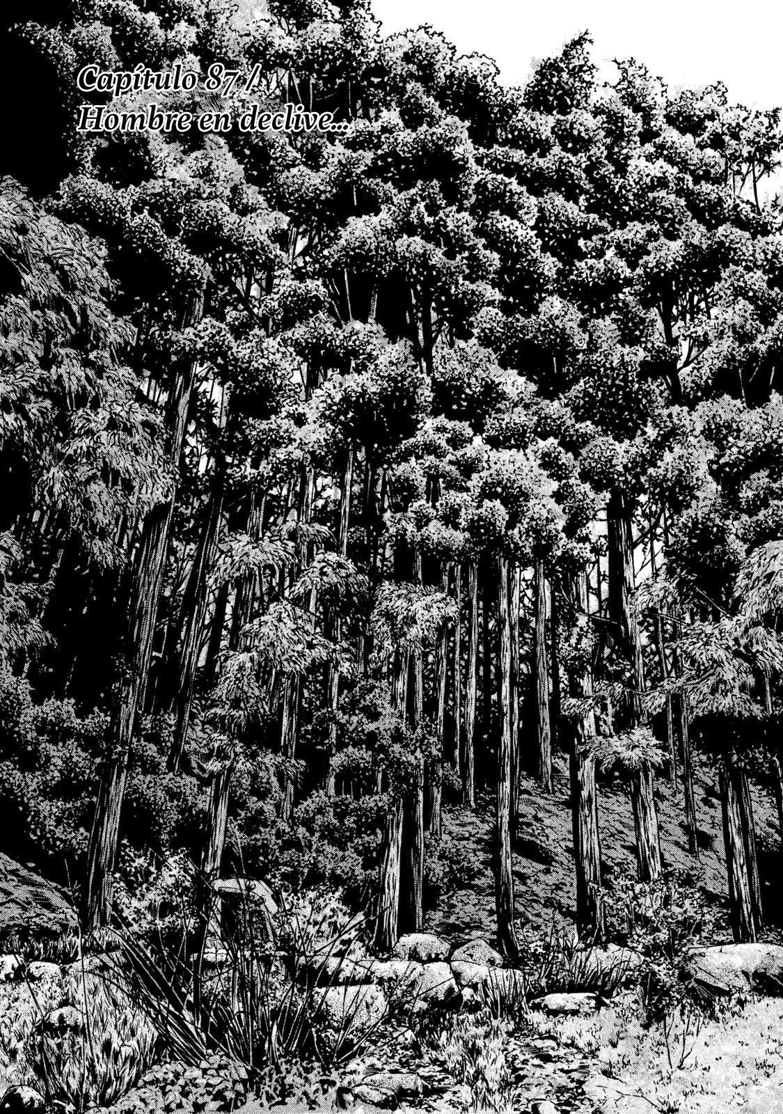 Read The Fable Español Manga Online