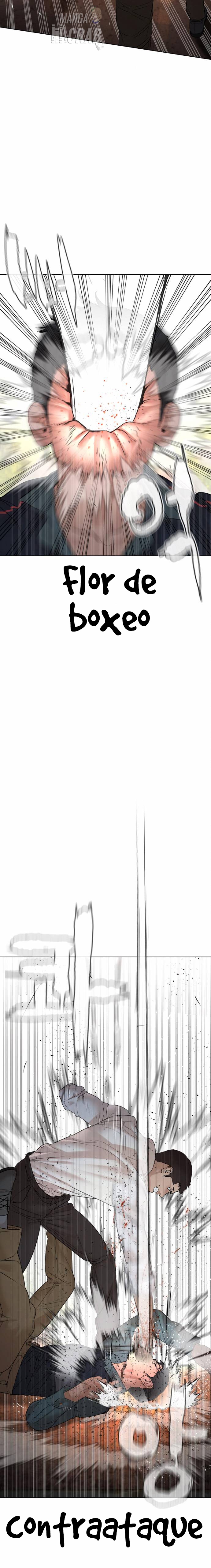 Read Viral Hit Español Manga Online