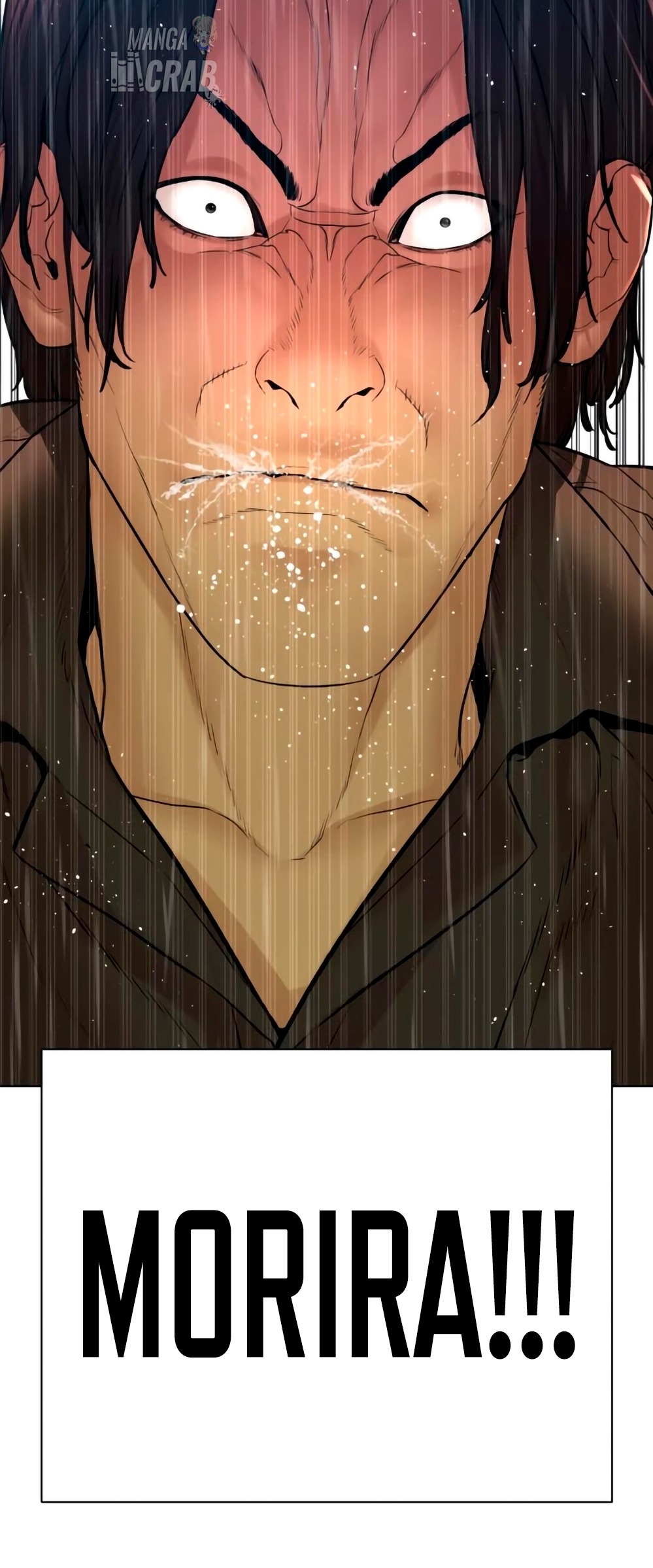 Read Viral Hit Español Manga Online