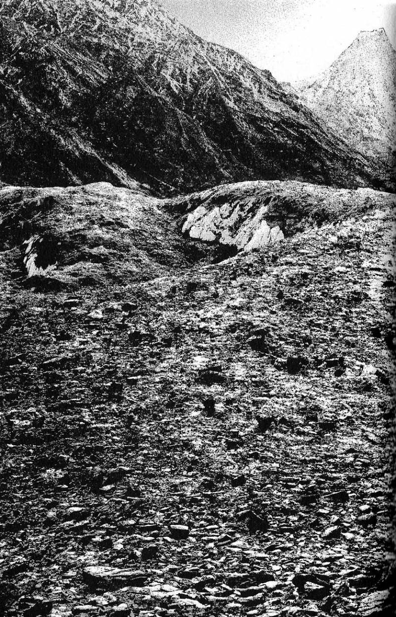 Read Ascension FRANCAIS Manga Online