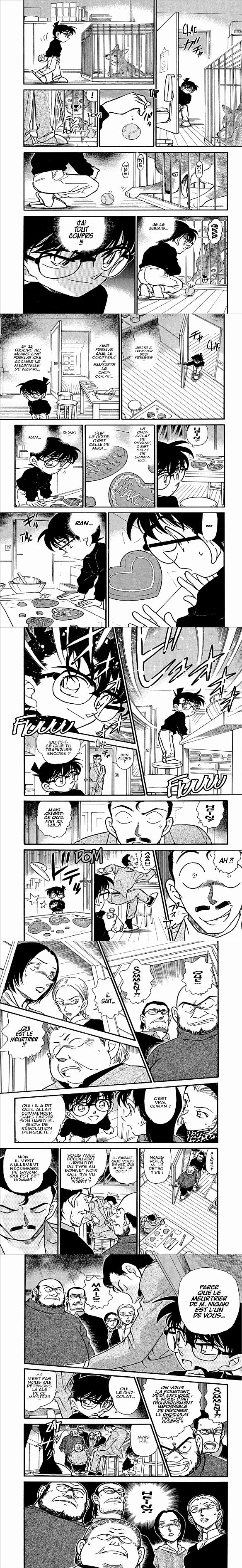 Read Detective Conan FRANCAIS Manga Online