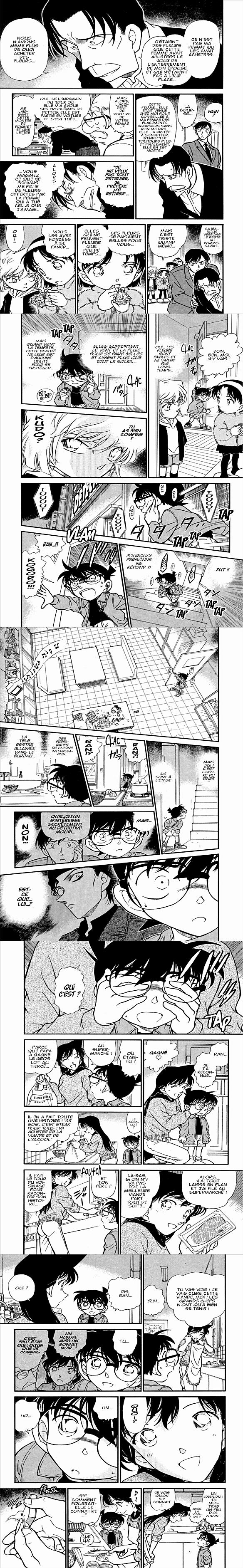 Read Detective Conan FRANCAIS Manga Online