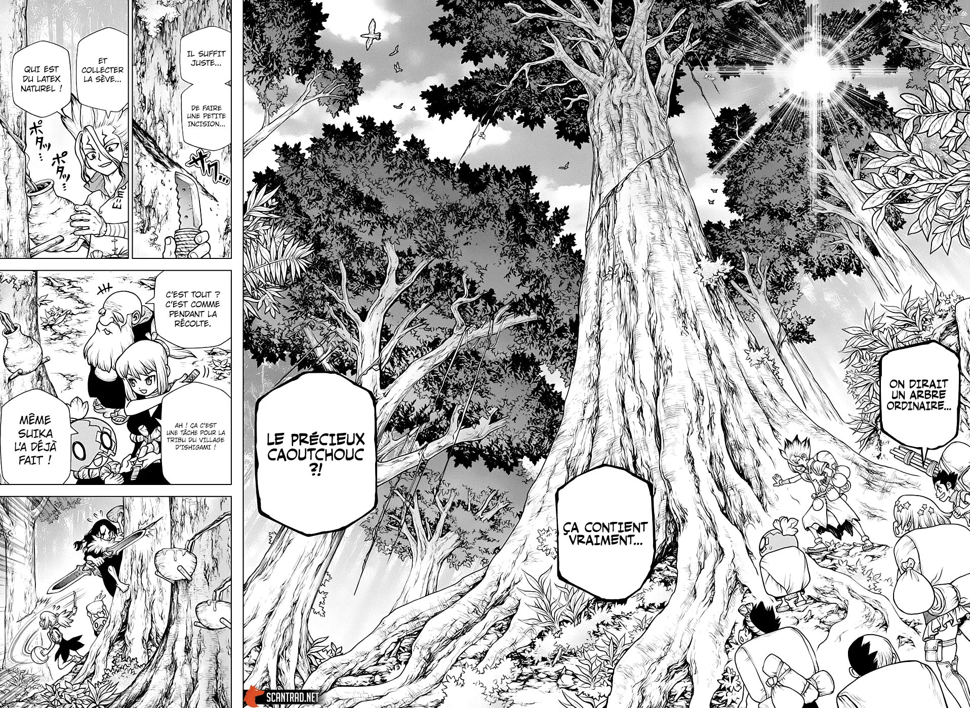 Read Dr. STONE FRANCAIS Manga Online