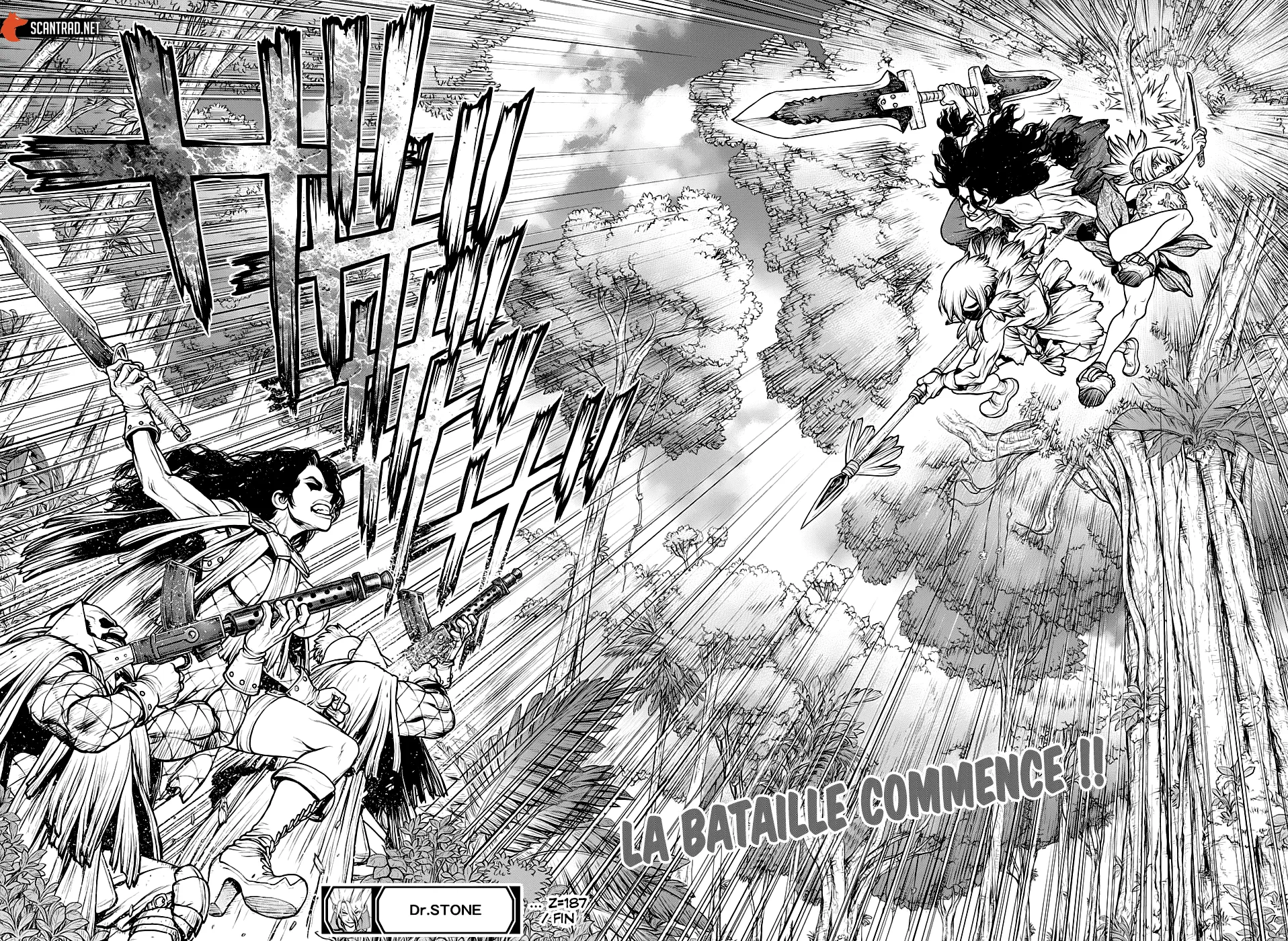 Read Dr. STONE FRANCAIS Manga Online