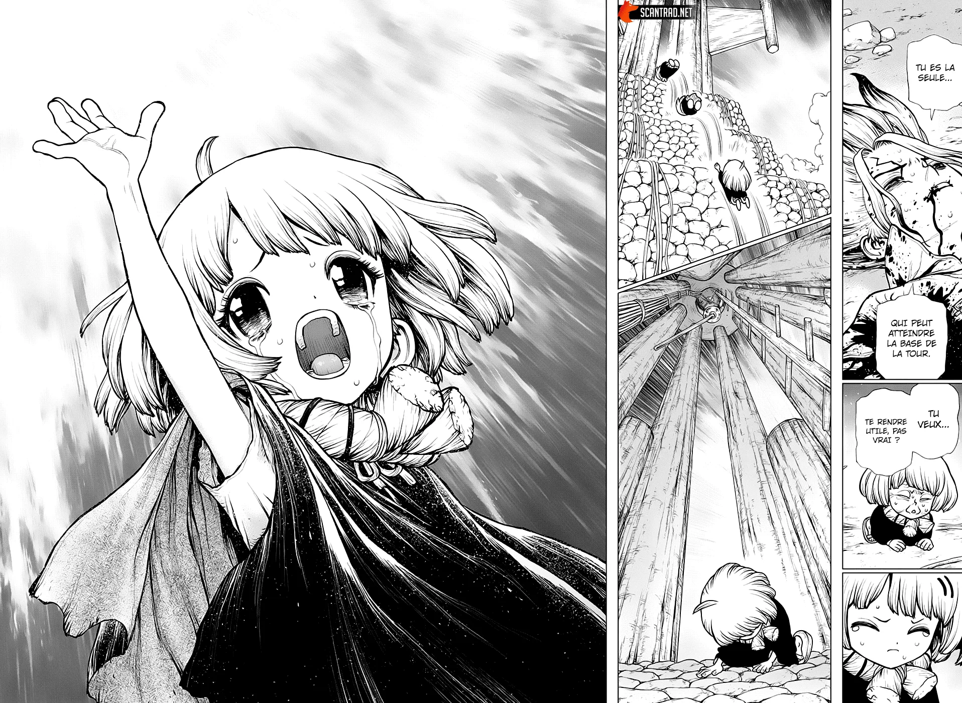 Read Dr. STONE FRANCAIS Manga Online