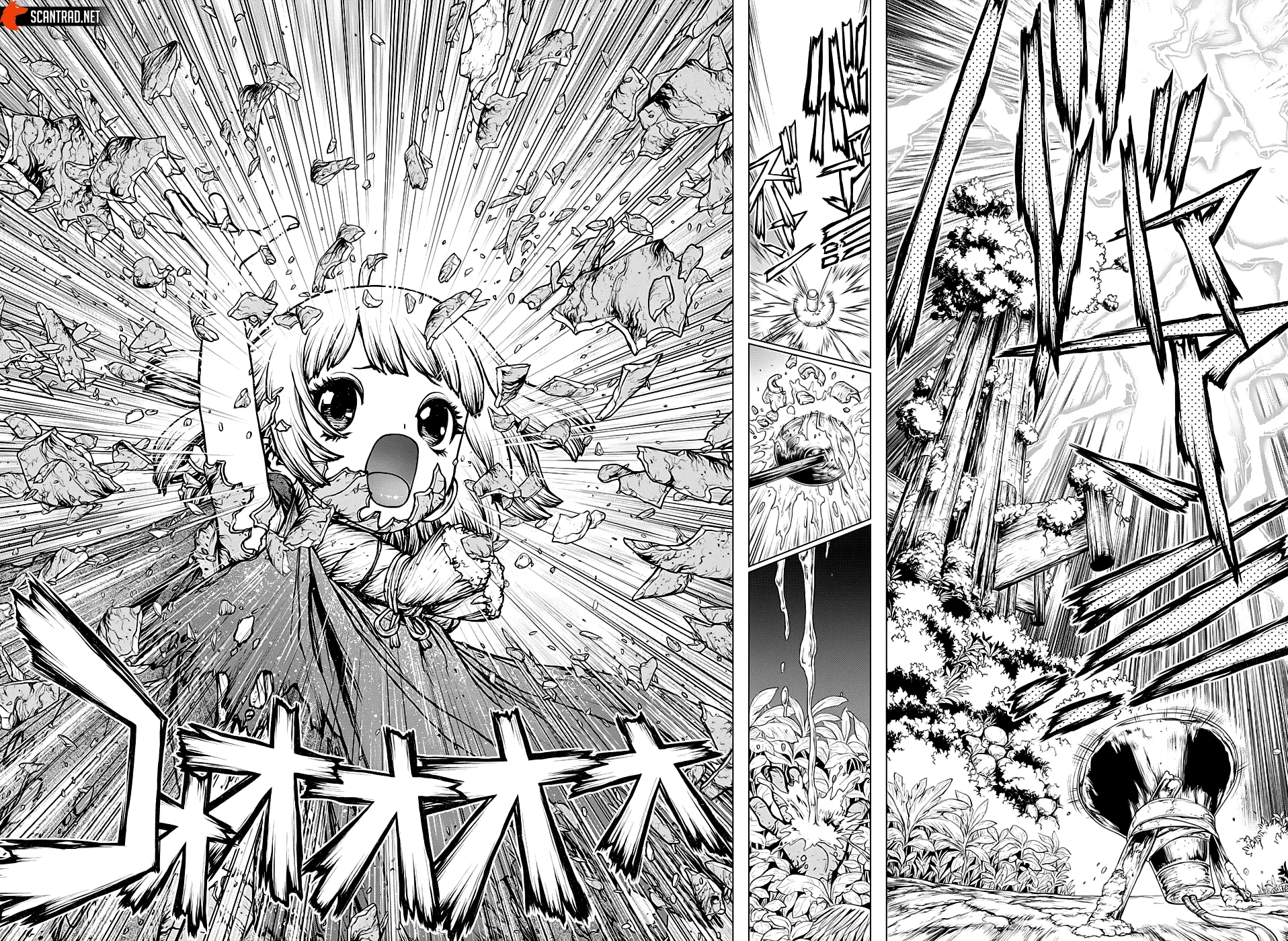 Read Dr. STONE FRANCAIS Manga Online