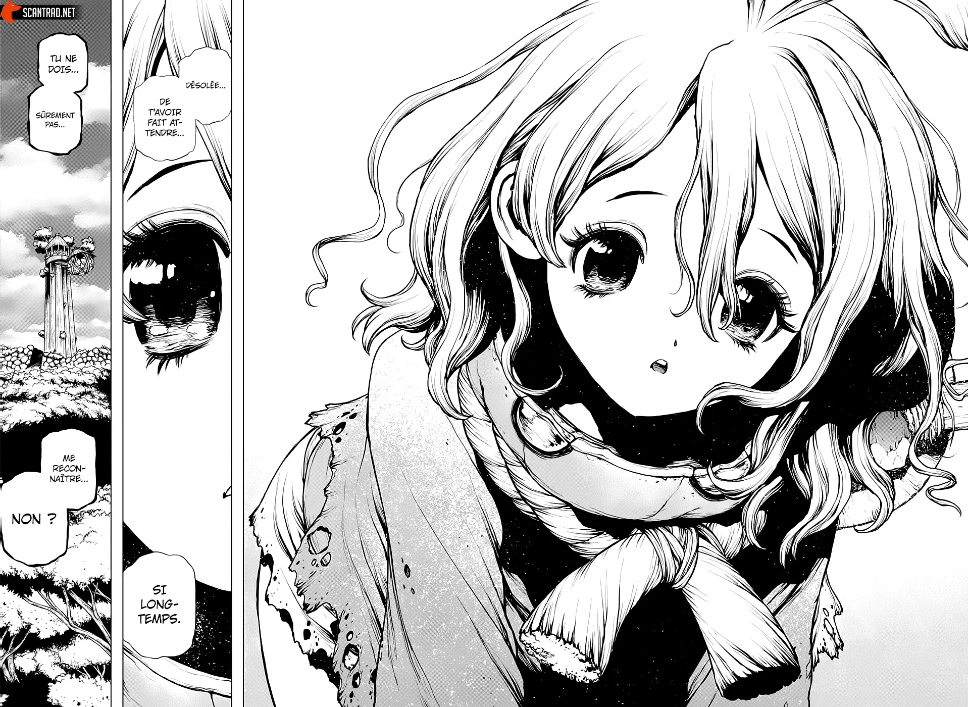 Read Dr. STONE FRANCAIS Manga Online