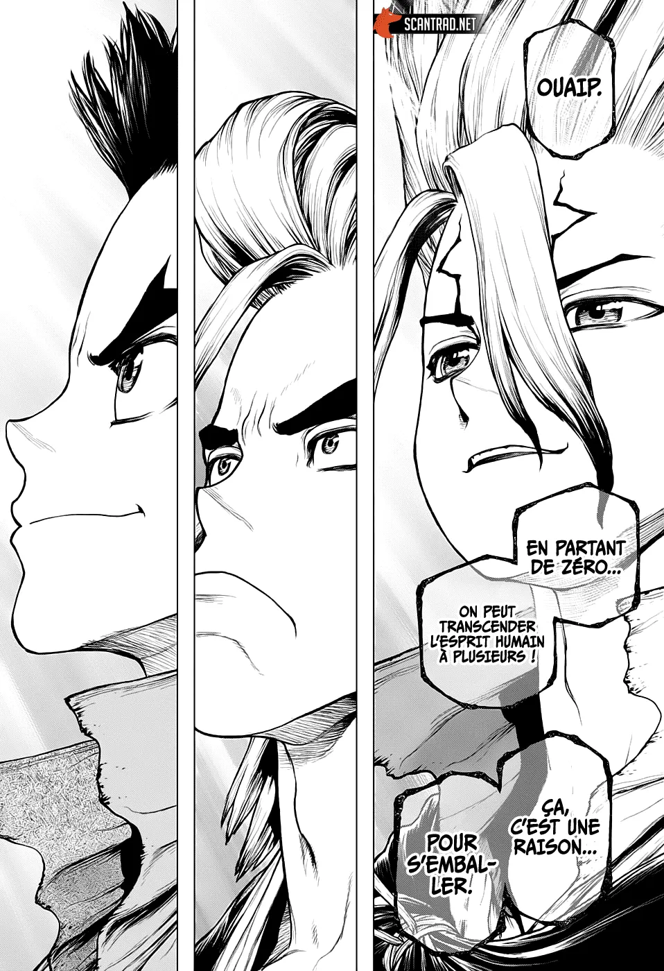 Read Dr. STONE FRANCAIS Manga Online