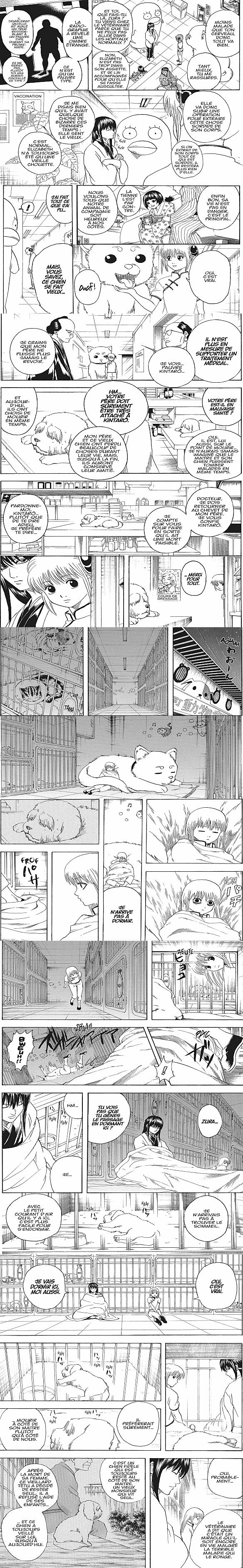 Read Gintama FRANCAIS Manga Online
