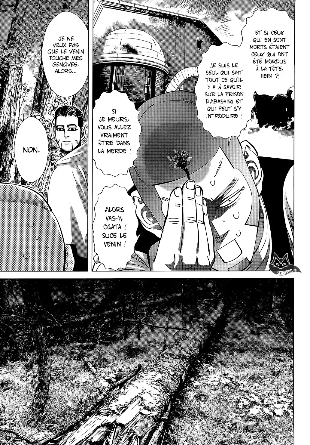 Read Golden Kamuy FRANCAIS Manga Online