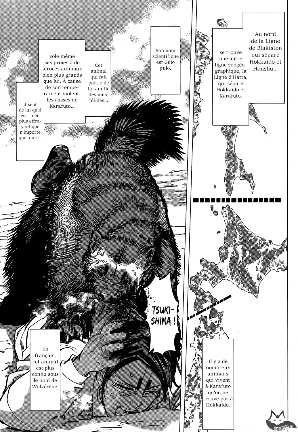 Read Golden Kamuy FRANCAIS Manga Online