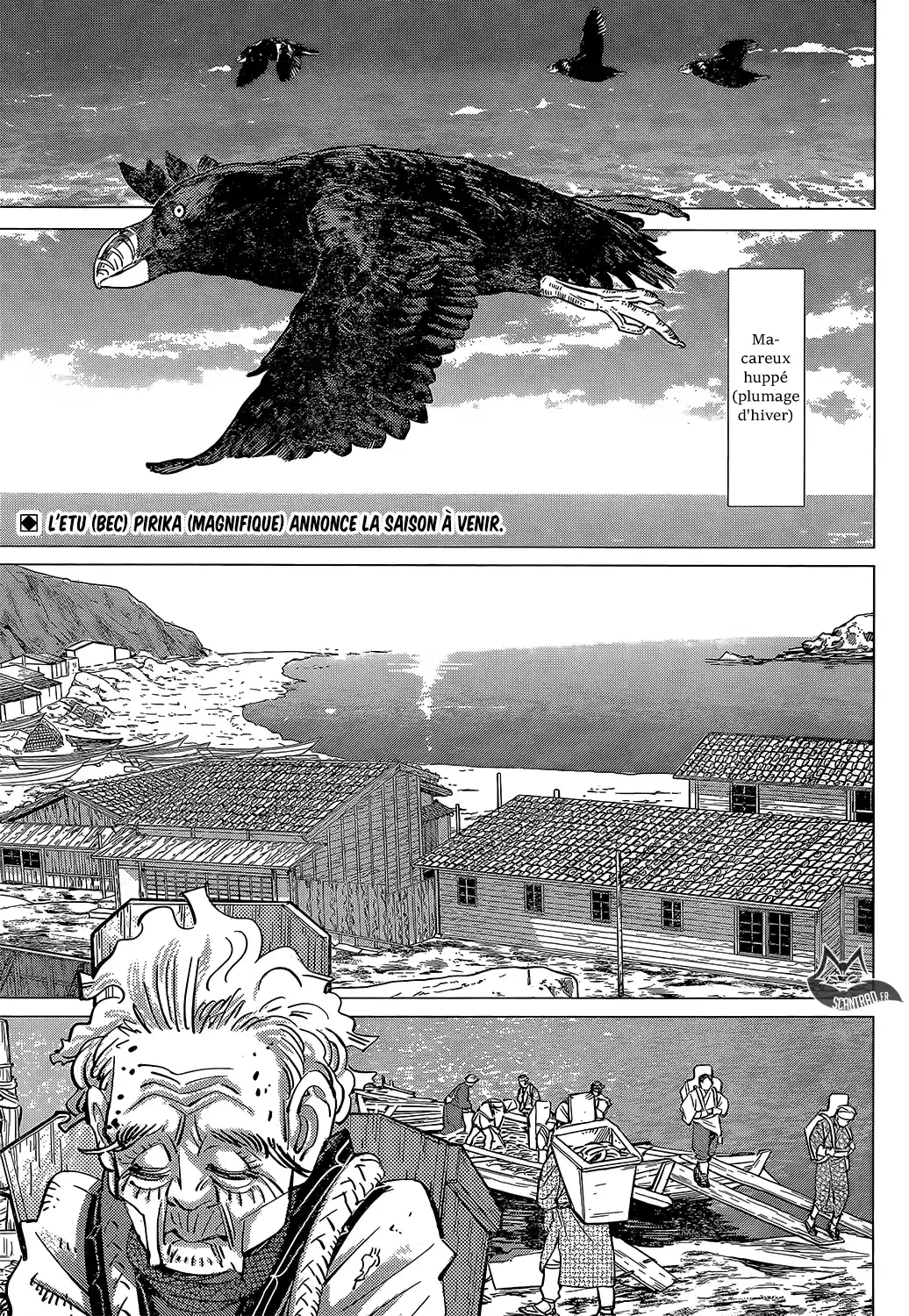 Read Golden Kamuy FRANCAIS Manga Online