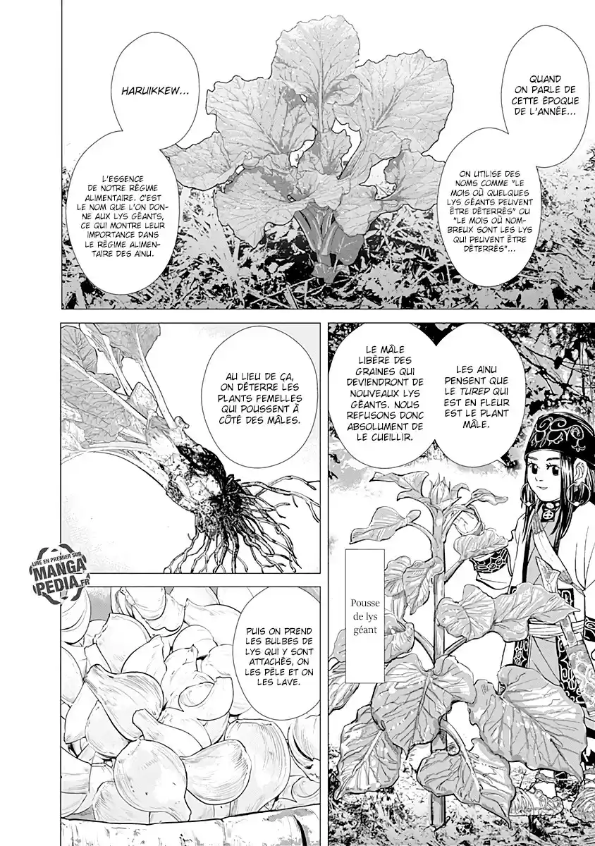 Read Golden Kamuy FRANCAIS Manga Online