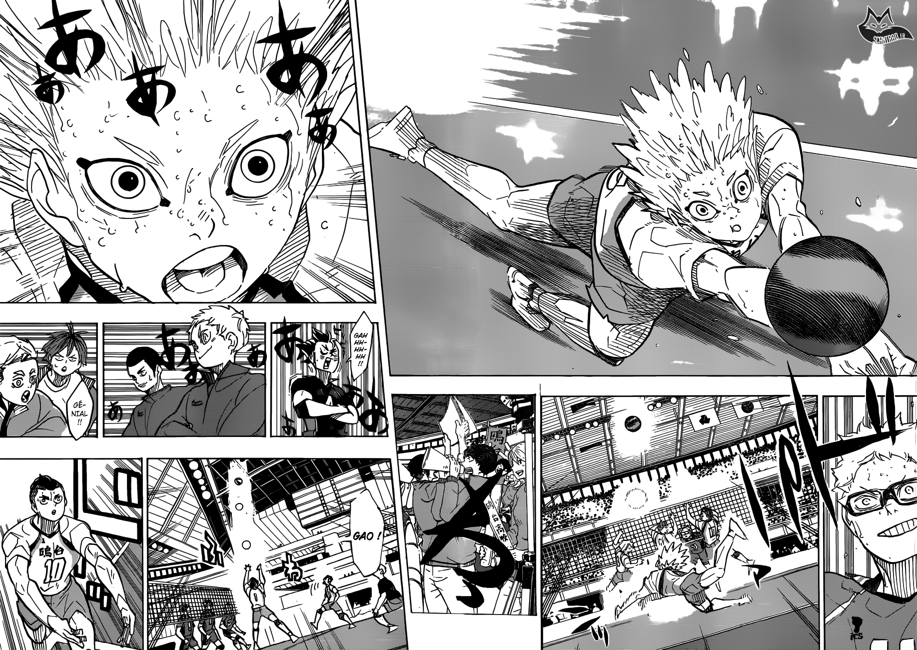 Read Haikyuu FRANCAIS Manga Online