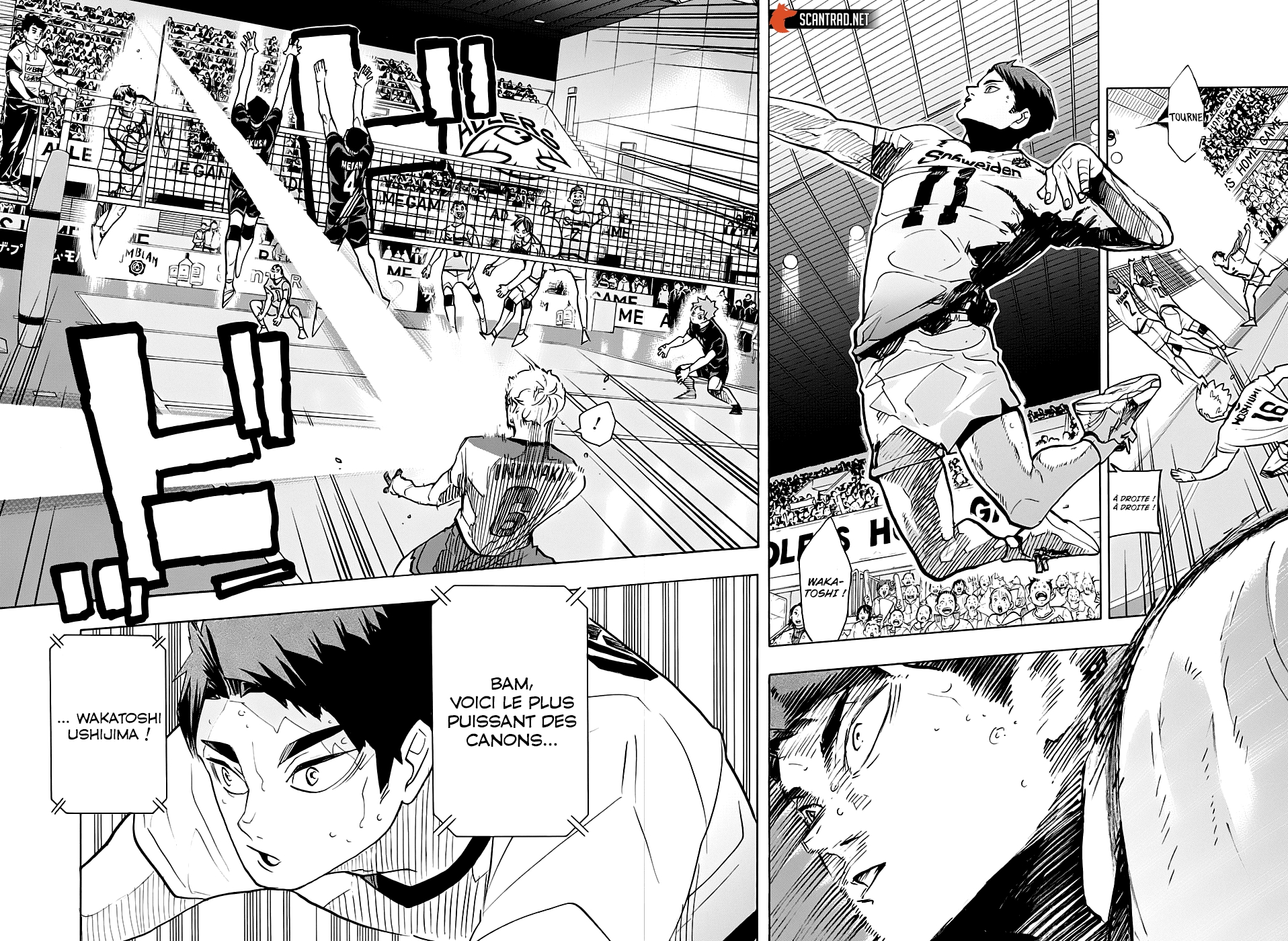 Read Haikyuu FRANCAIS Manga Online