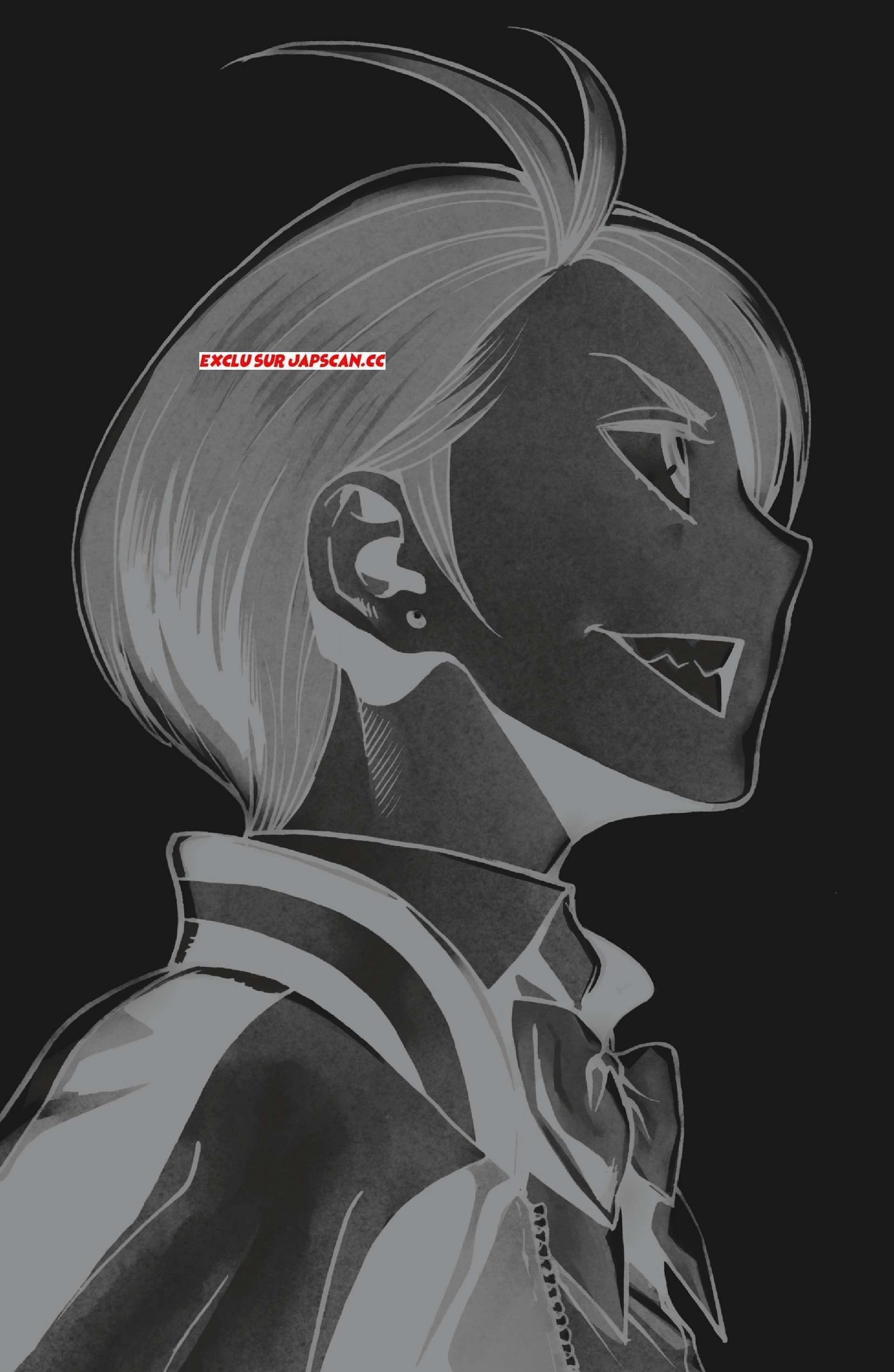 Read My Hero Academia Vigilantes FRANCAIS Manga Online