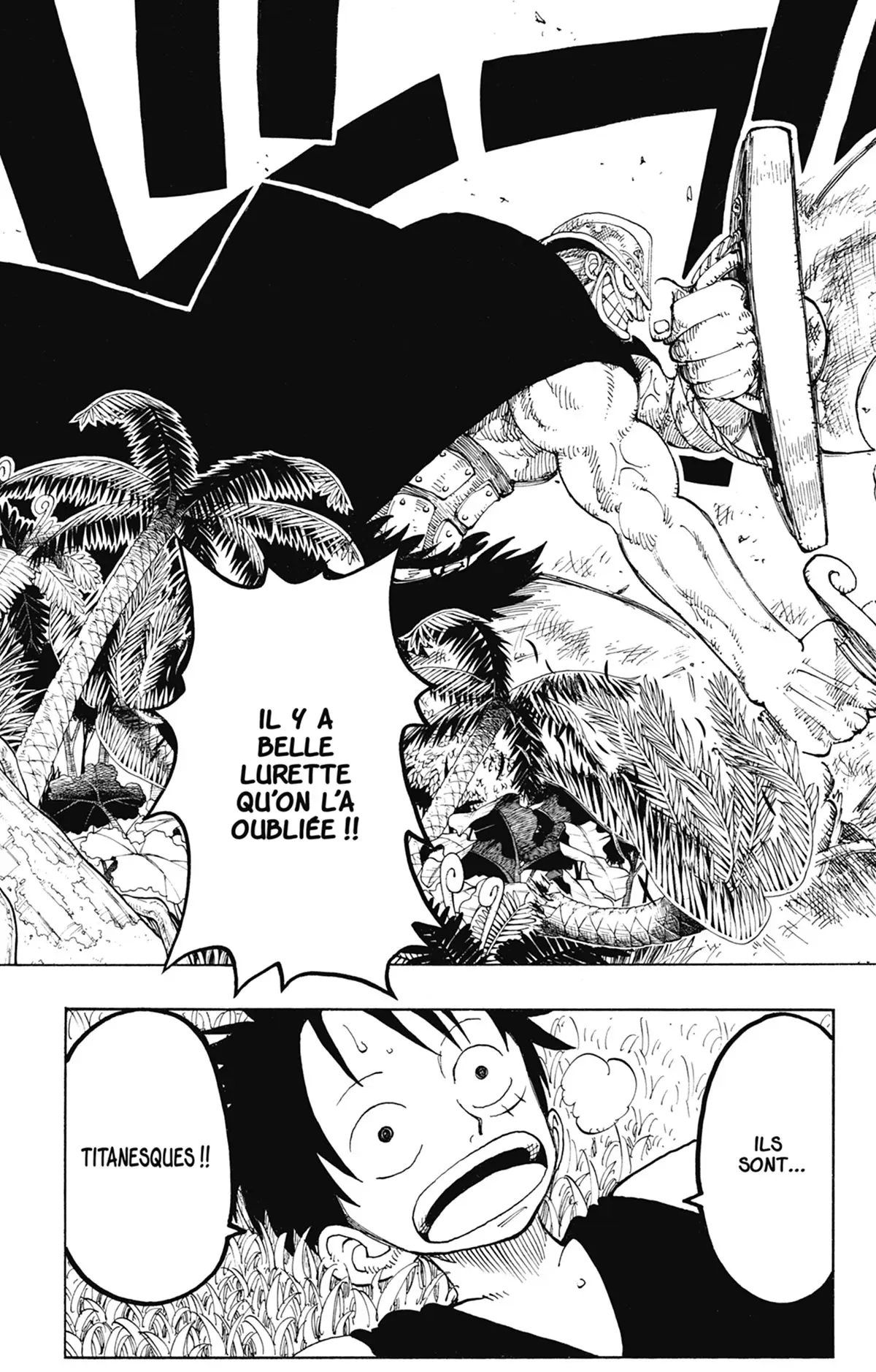 Read One Piece FRANCAIS Manga Online