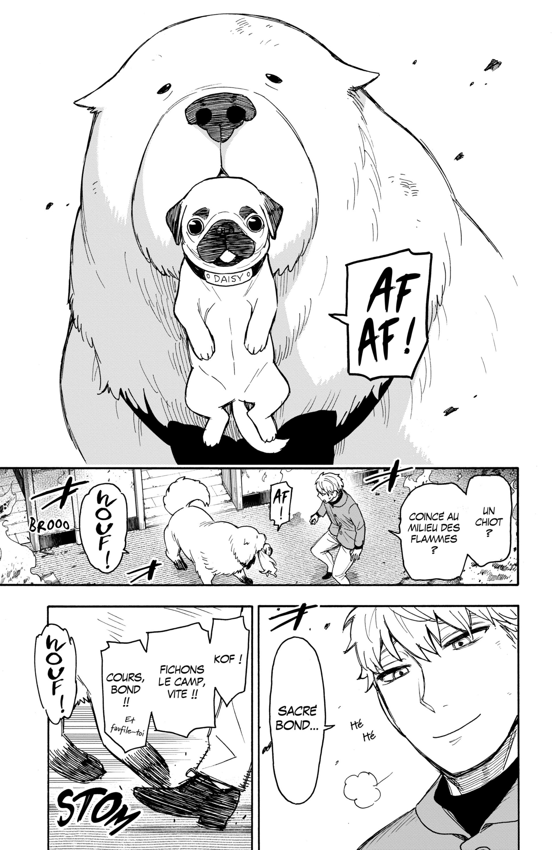 Read Spy X Family FRANCAIS Manga Online