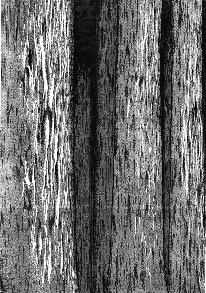 Read Attack on Titan Português Manga Online