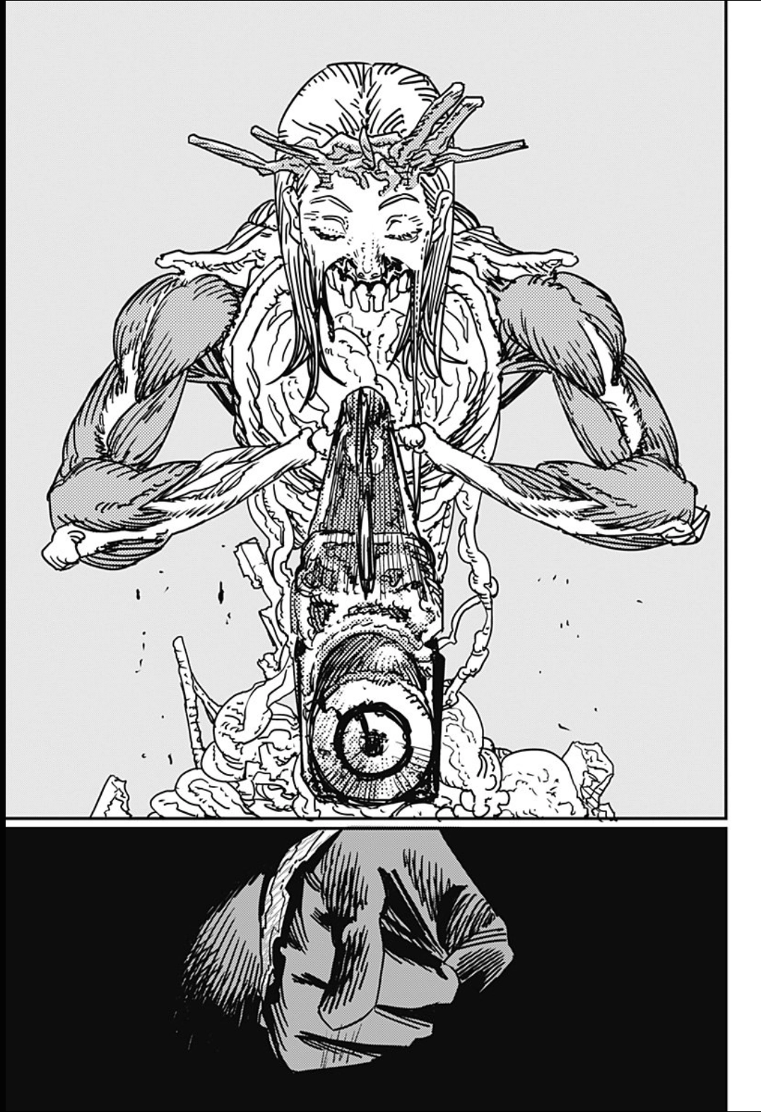 Read Chainsaw Man Português Manga Online