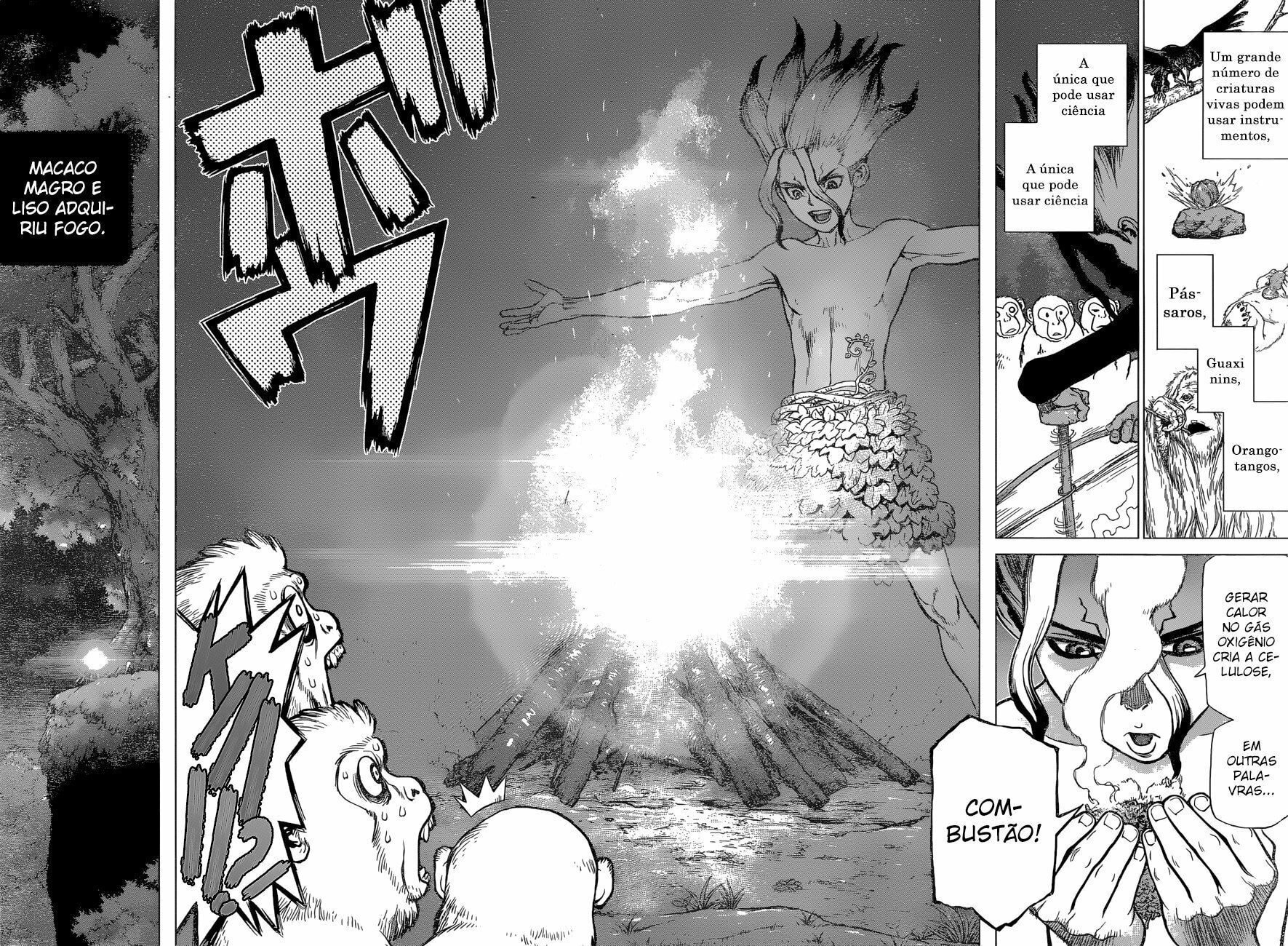 Read Dr. Stone Português Manga Online