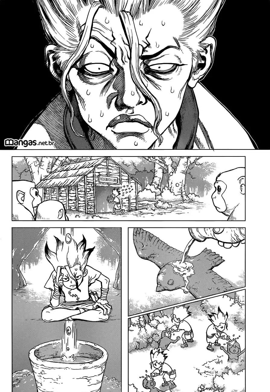Read Dr. Stone Português Manga Online