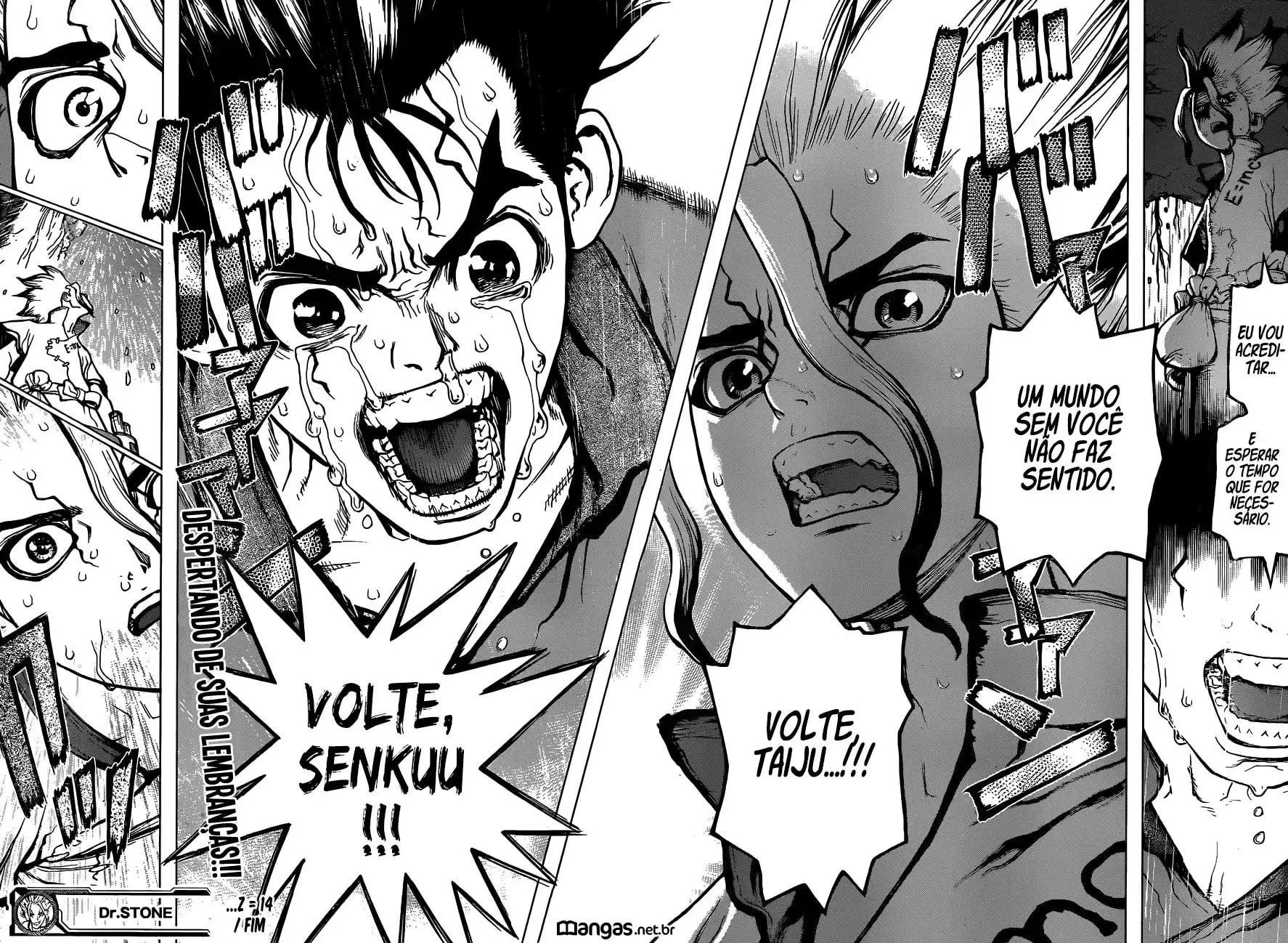 Read Dr. Stone Português Manga Online