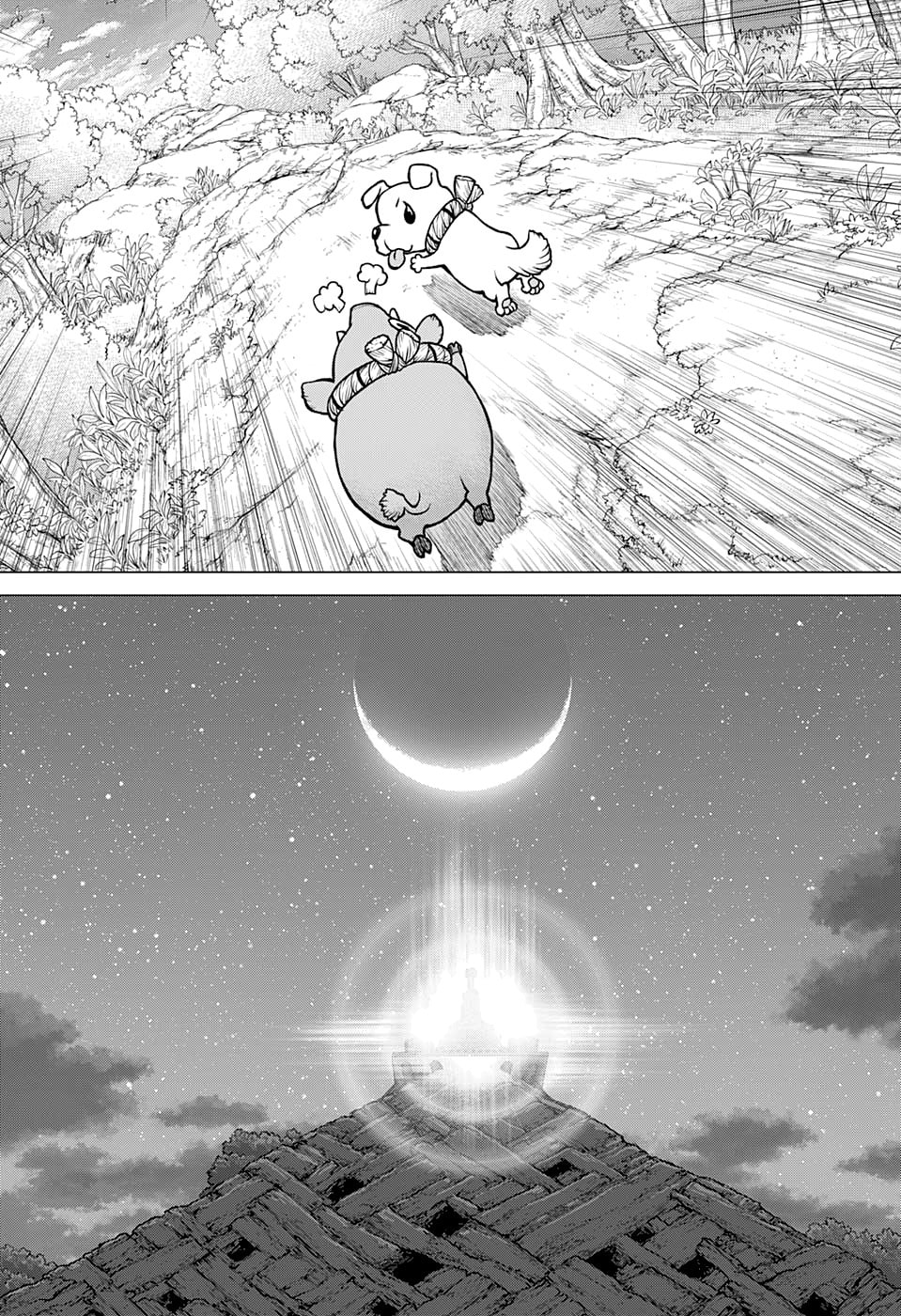 Read Dr. Stone Português Manga Online