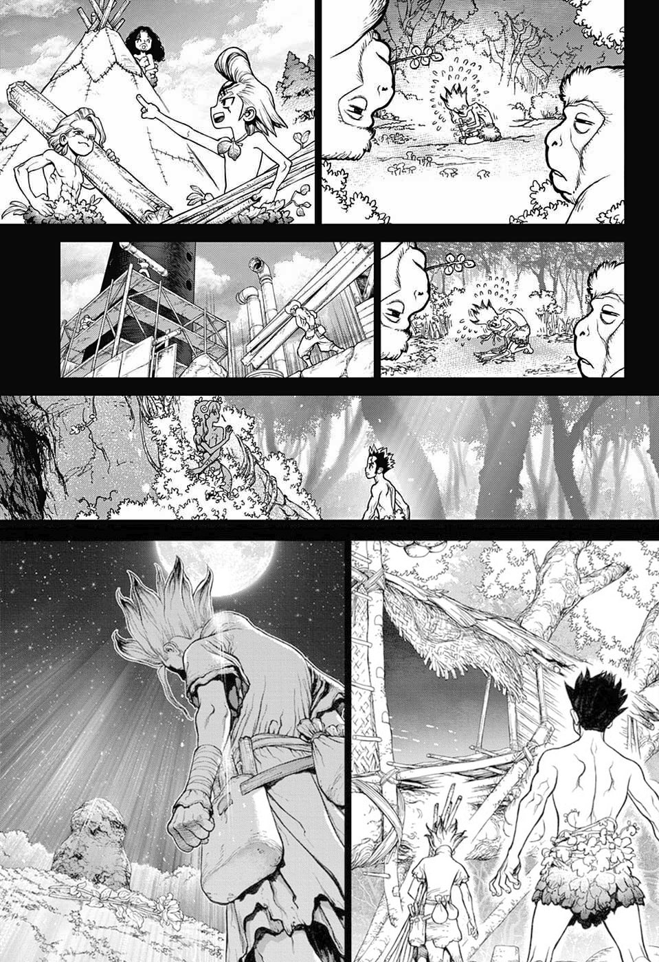 Read Dr. Stone Português Manga Online