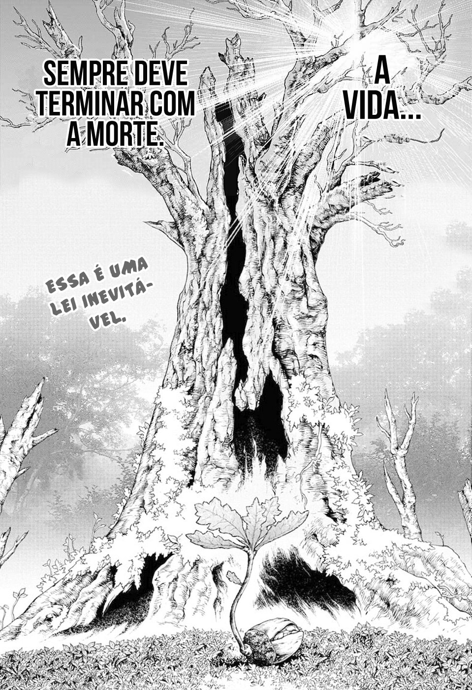 Read Dr. Stone Português Manga Online