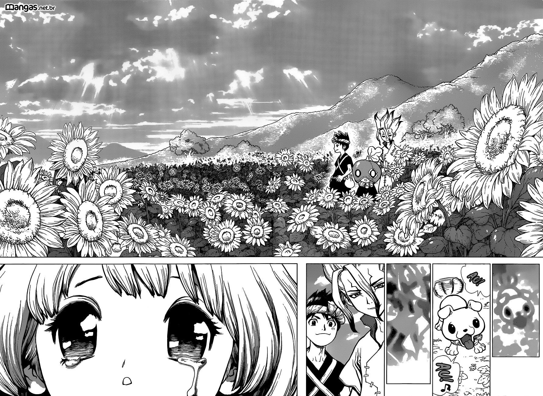 Read Dr. Stone Português Manga Online