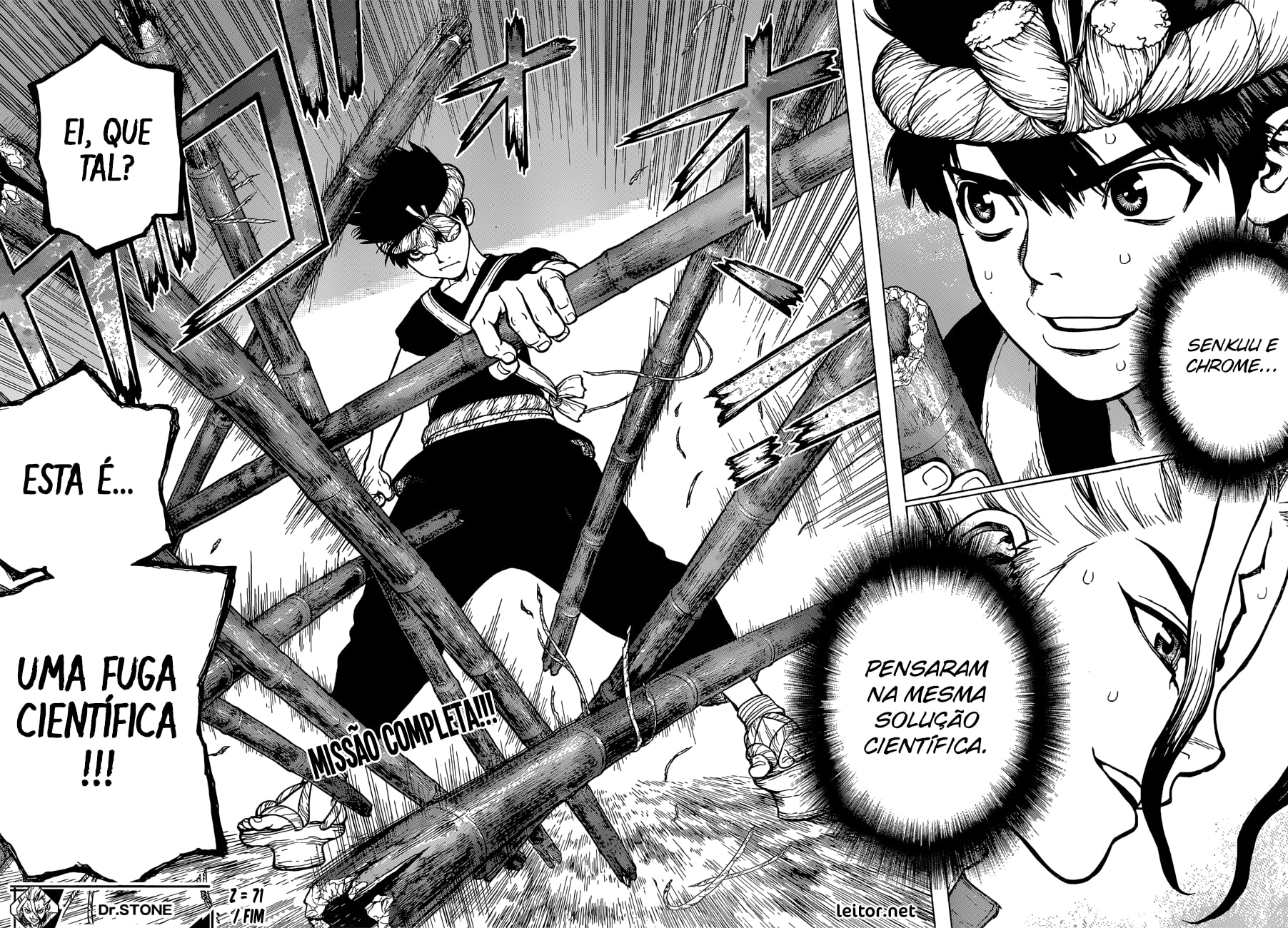 Read Dr. Stone Português Manga Online