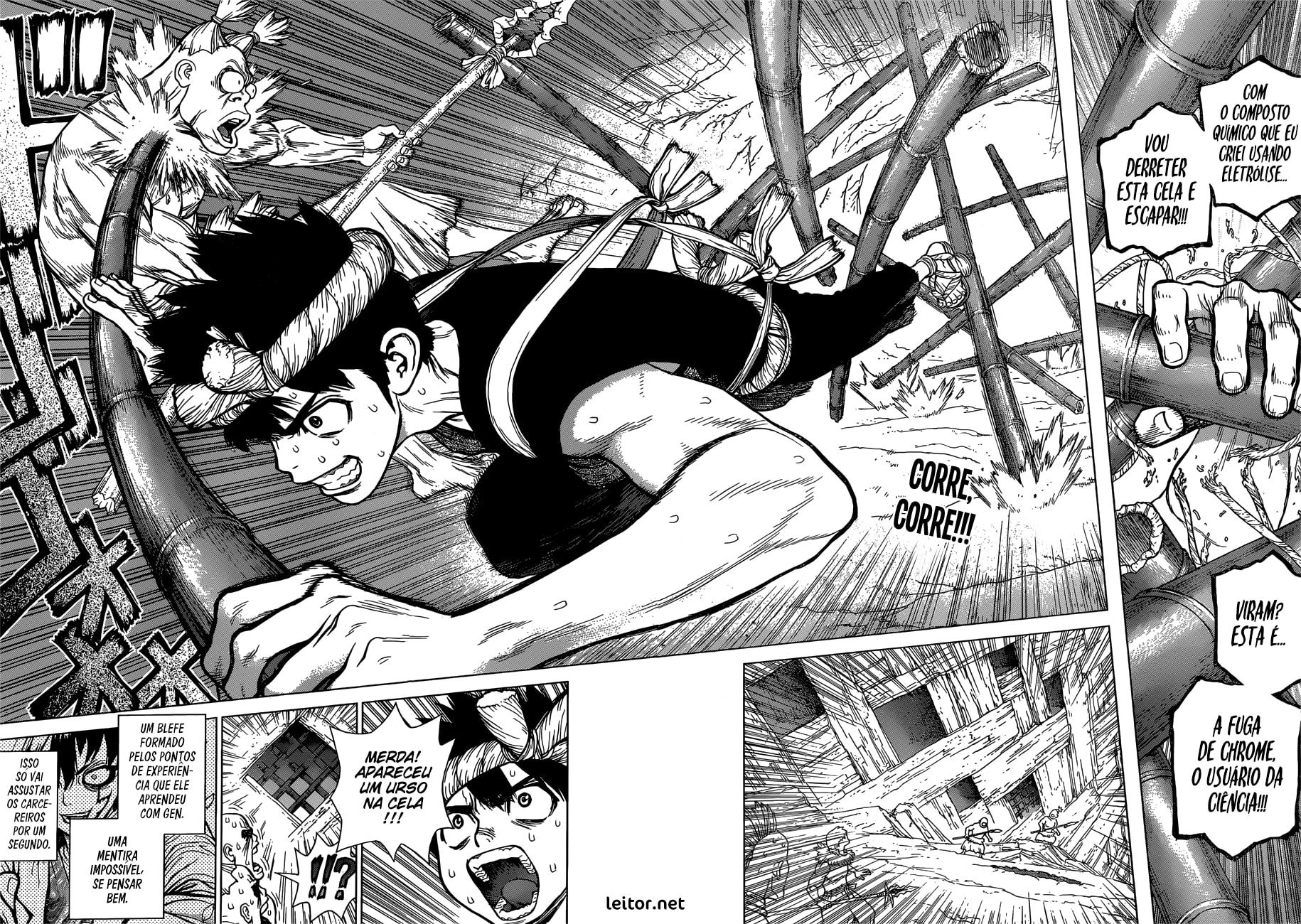 Read Dr. Stone Português Manga Online