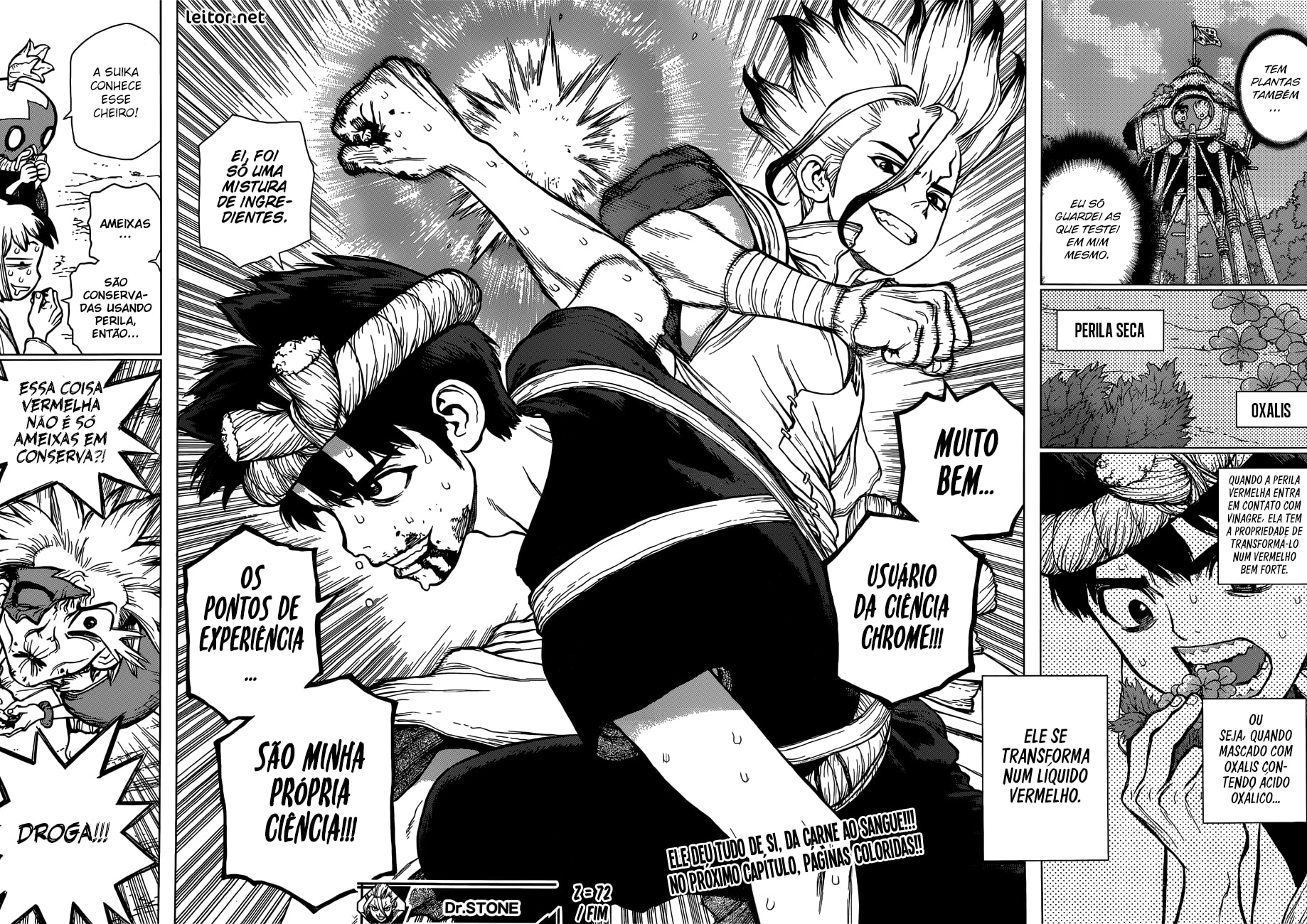 Read Dr. Stone Português Manga Online