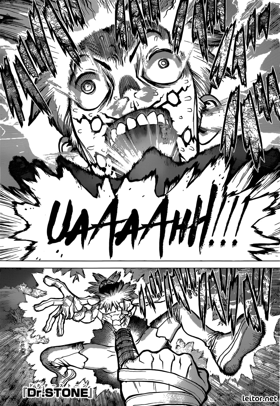 Read Dr. Stone Português Manga Online