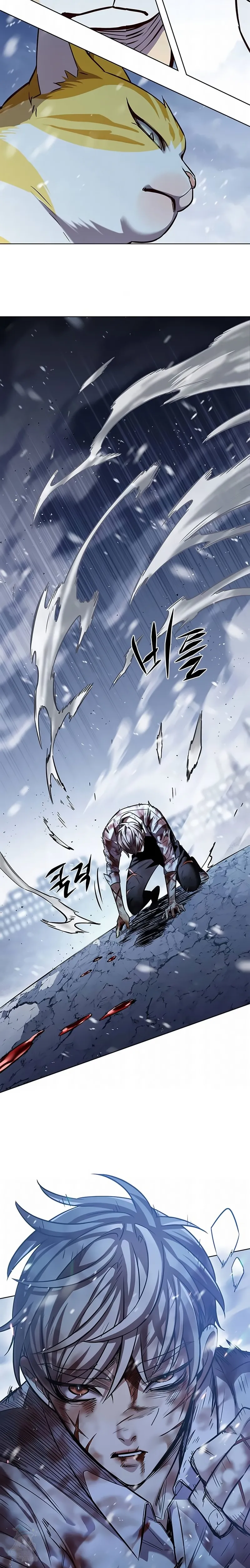 Read Eleceed Português Manga Online