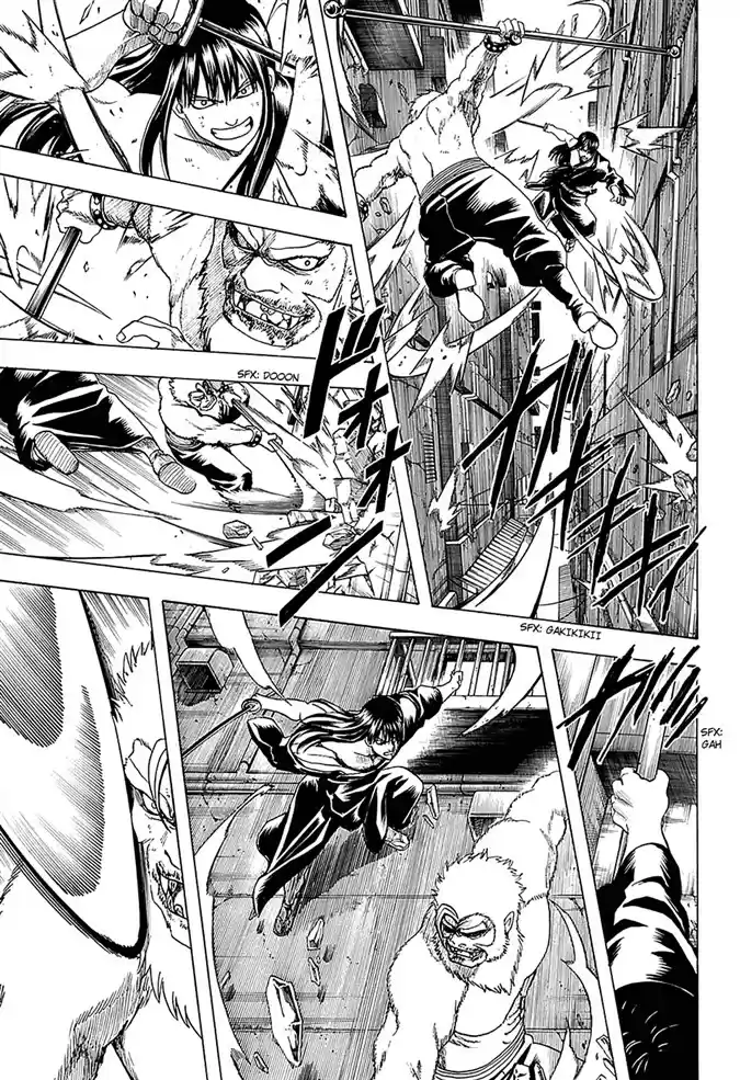 Read Gintama Português Manga Online