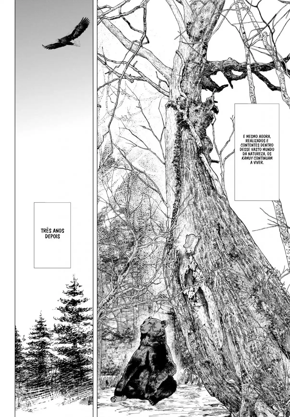 Read Golden Kamuy Português Manga Online