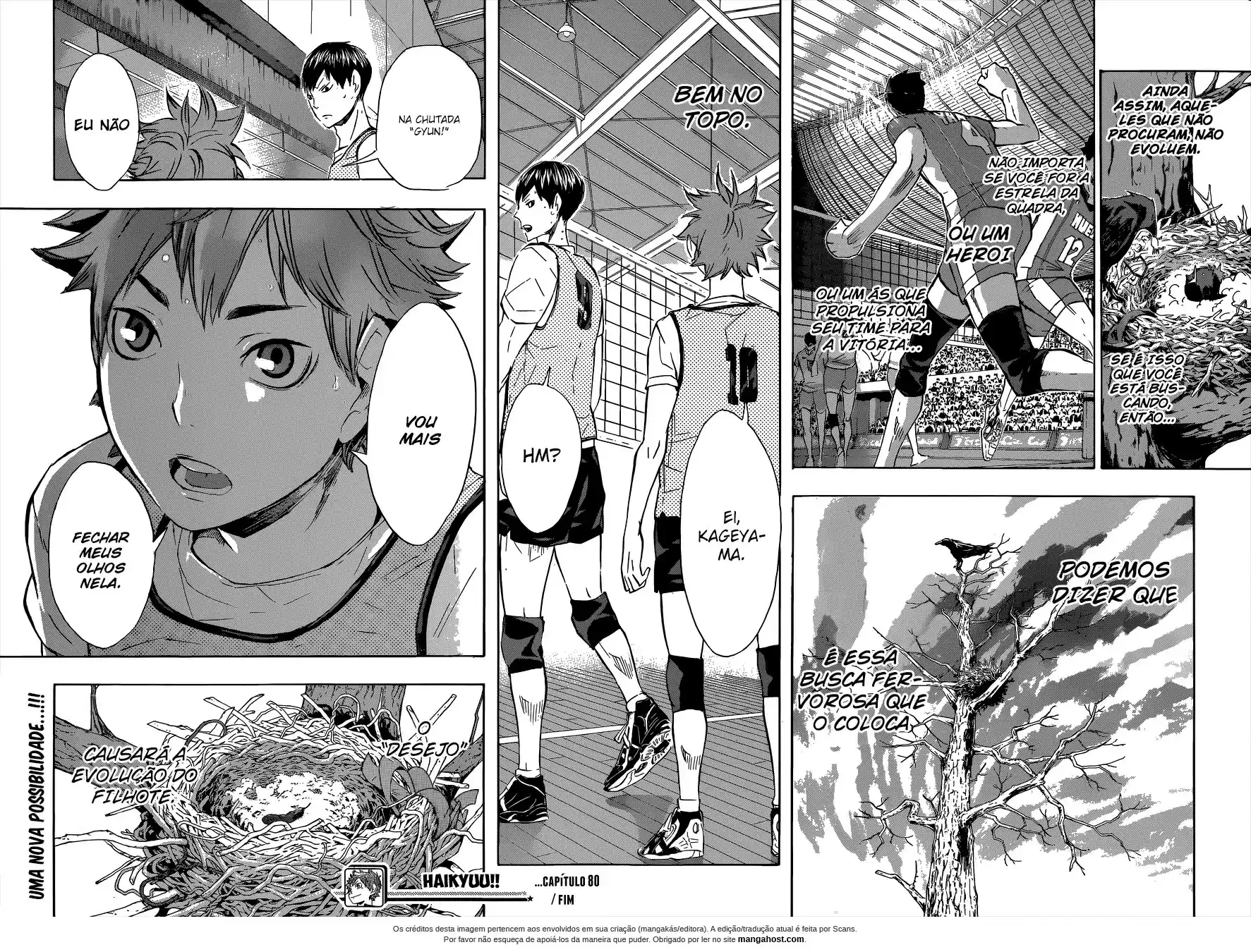 Read Haikyuu!! Português Manga Online