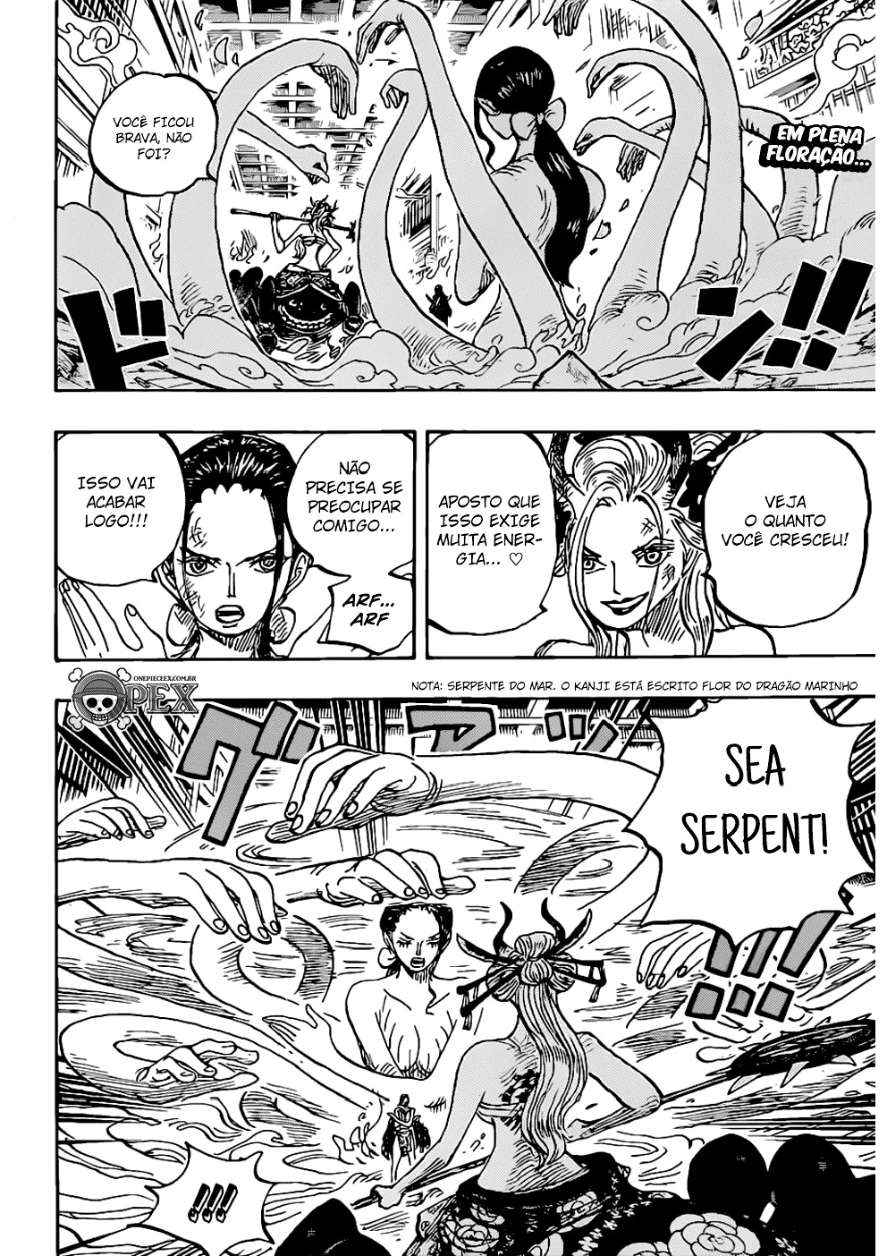 Read One Piece Português Manga Online