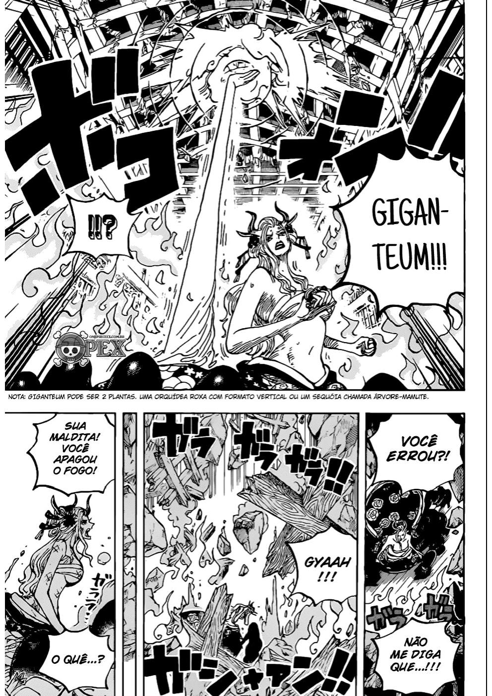 Read One Piece Português Manga Online