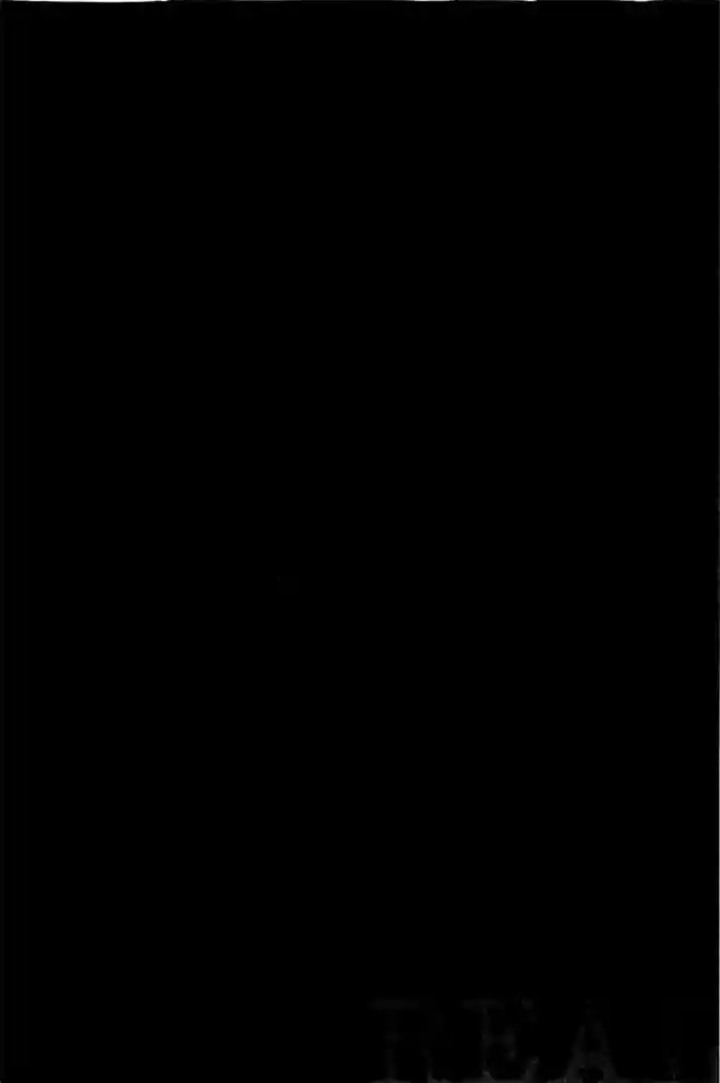 Read Real Português Manga Online