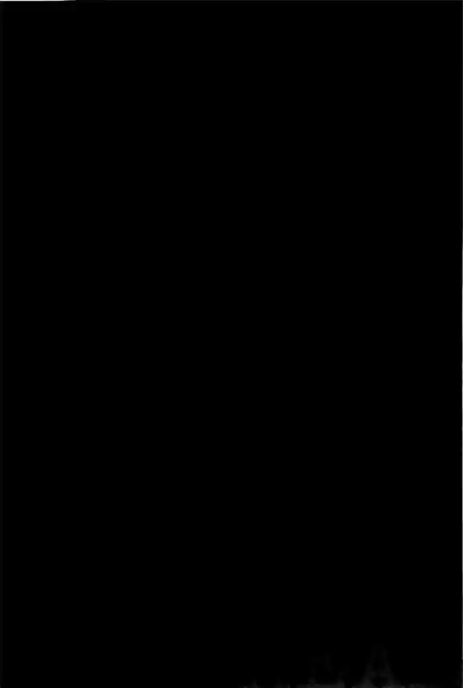 Read Real Português Manga Online