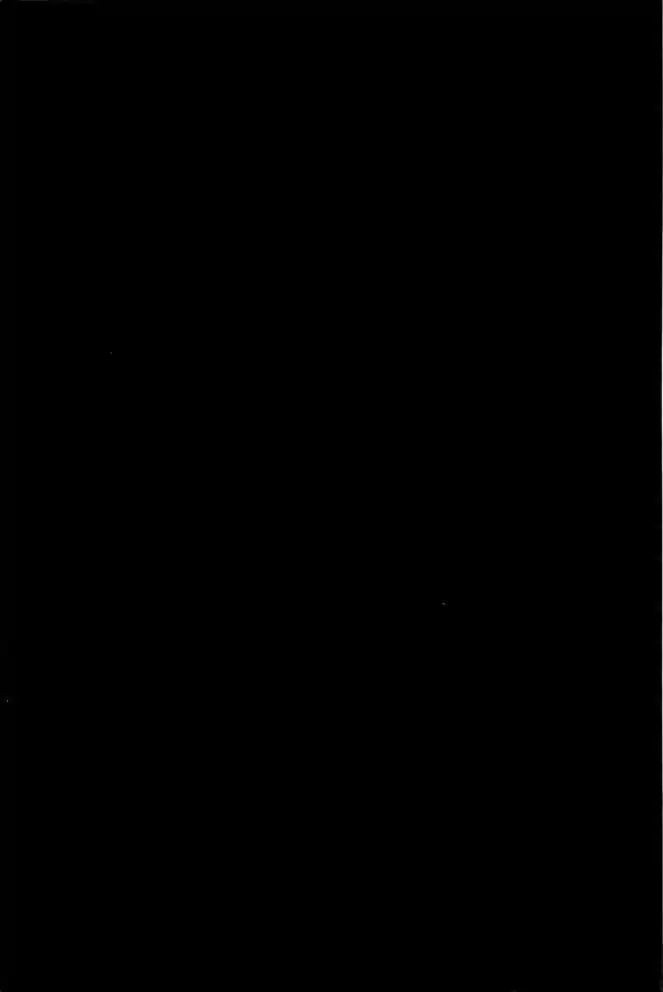 Read Real Português Manga Online