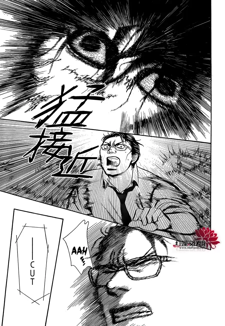 Read Skip Beat! Português Manga Online