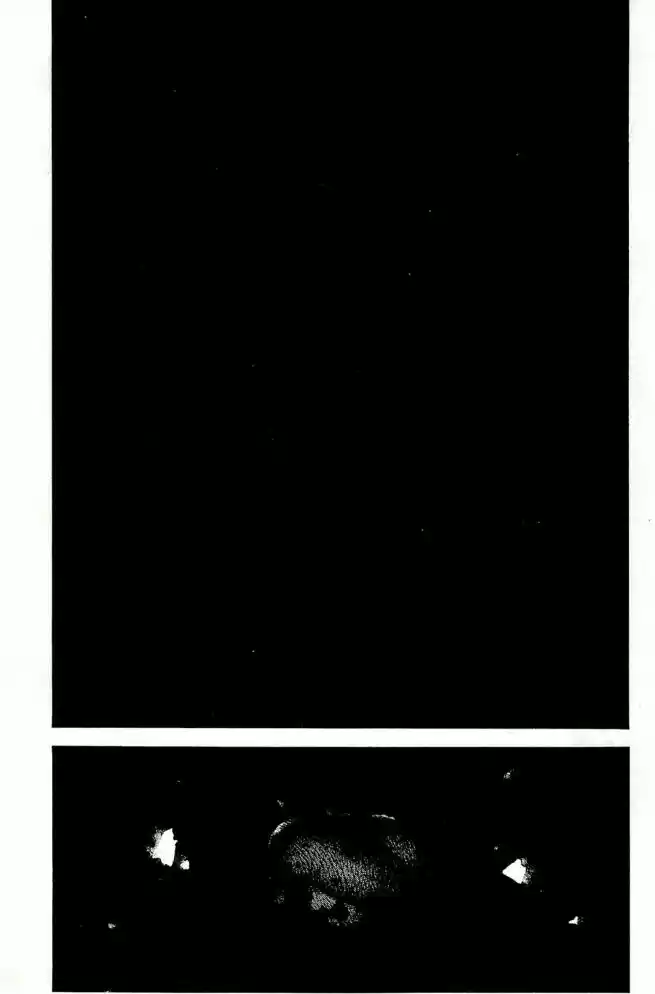 Read The Climber Português Manga Online