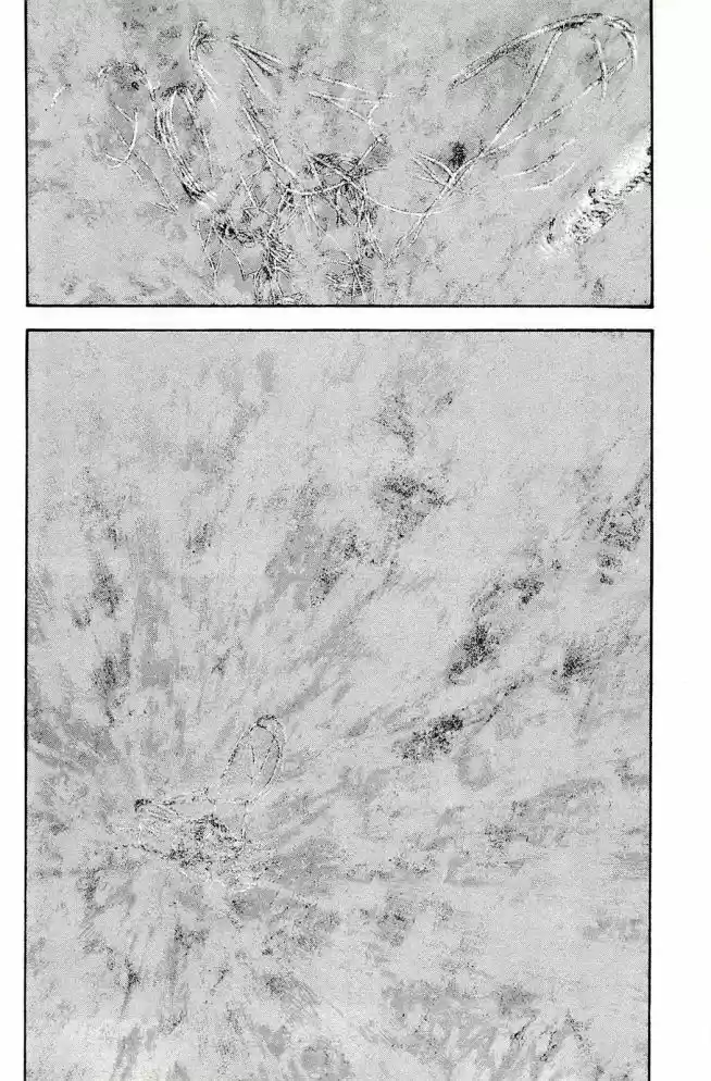 Read The Climber Português Manga Online