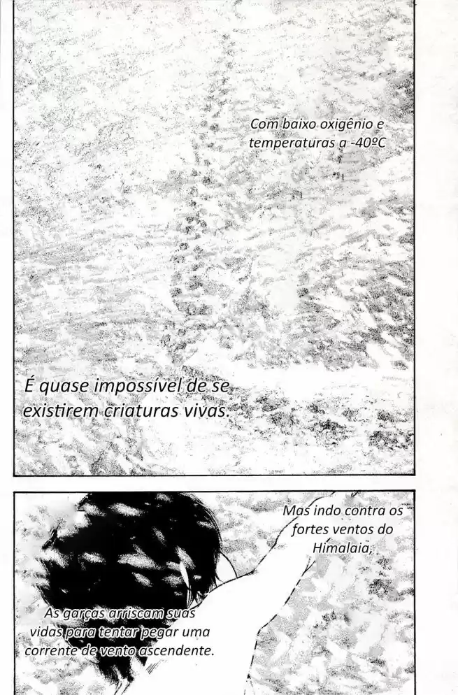 Read The Climber Português Manga Online